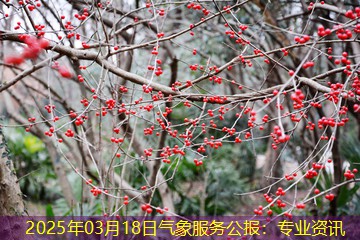 2025年03月18日气象服务公报：专业资讯