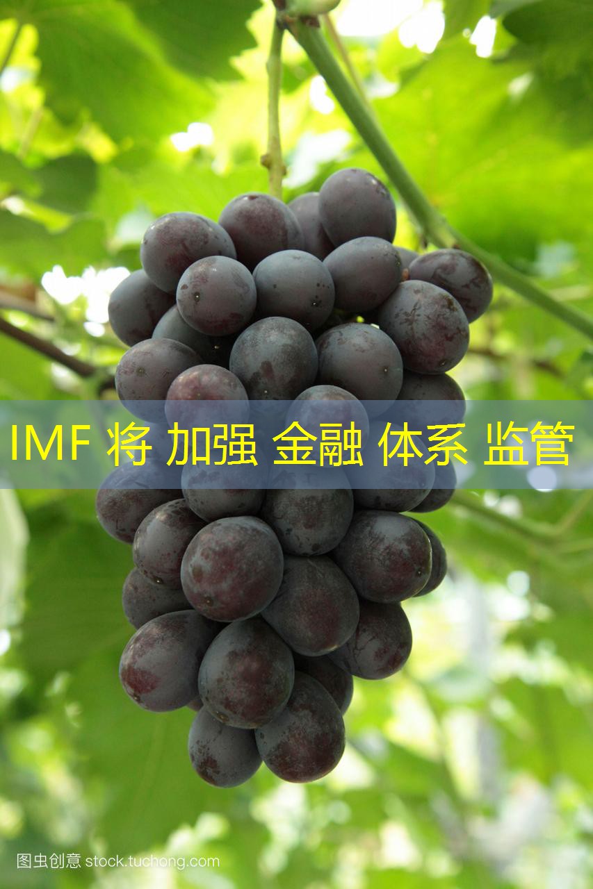 IMF 将 加强 金融 体系 监管