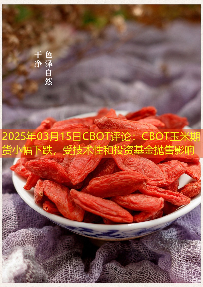 2025年03月15日CBOT评论：CBOT玉米期货小幅下跌，受技术性和投资基金抛售影响