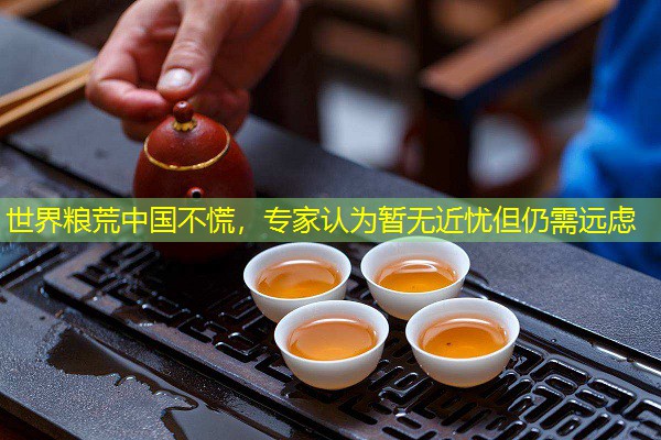 世界粮荒中国不慌，专家认为暂无近忧但仍需远虑