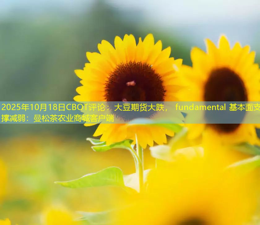 2025年10月18日CBOT评论：大豆期货大跌， fundamental 基本面支撑减弱：曼松茶农业商城客户端