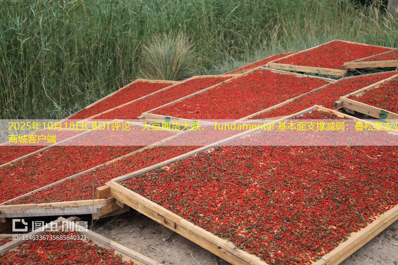 2025年10月18日CBOT评论：大豆期货大跌， fundamental 基本面支撑减弱