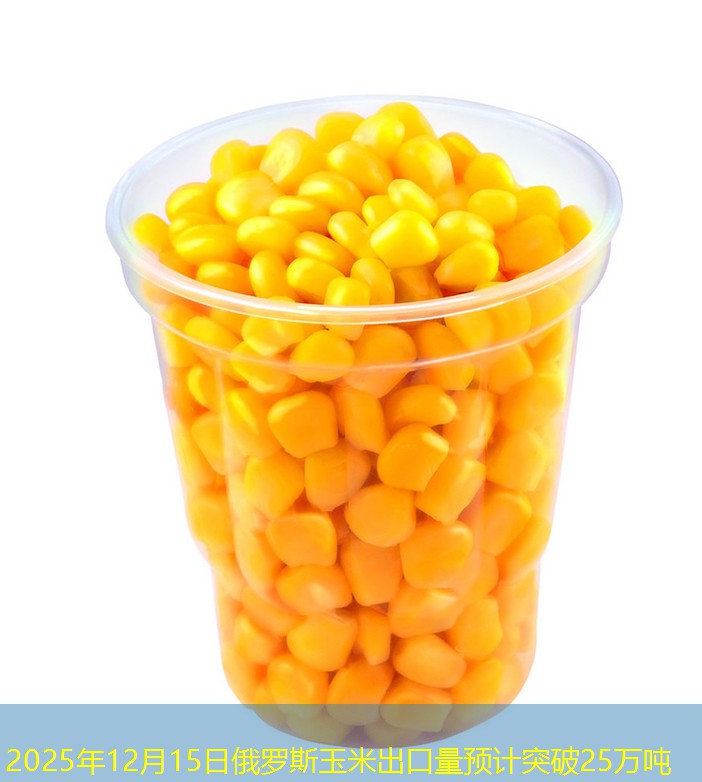 2025年12月15日俄罗斯玉米出口量预计突破25万吨