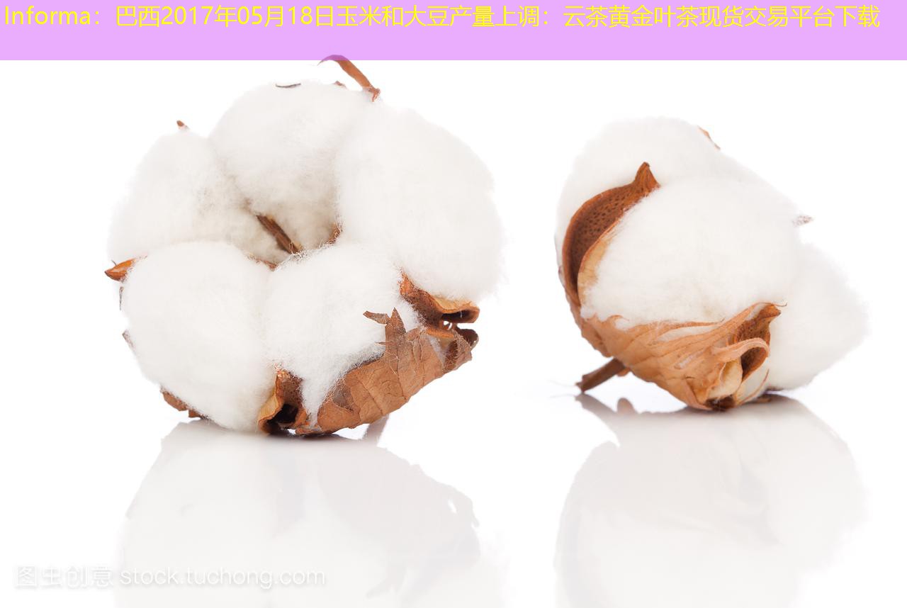 Informa：巴西2017年05月18日玉米和大豆产量上调