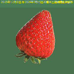 2025年12月8日与2026年3月15日20厘米土层墒情差异解析