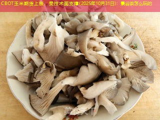 CBOT玉米期货上涨，受技术面支撑(2025年10月31日)：景谷茶怎么玩的