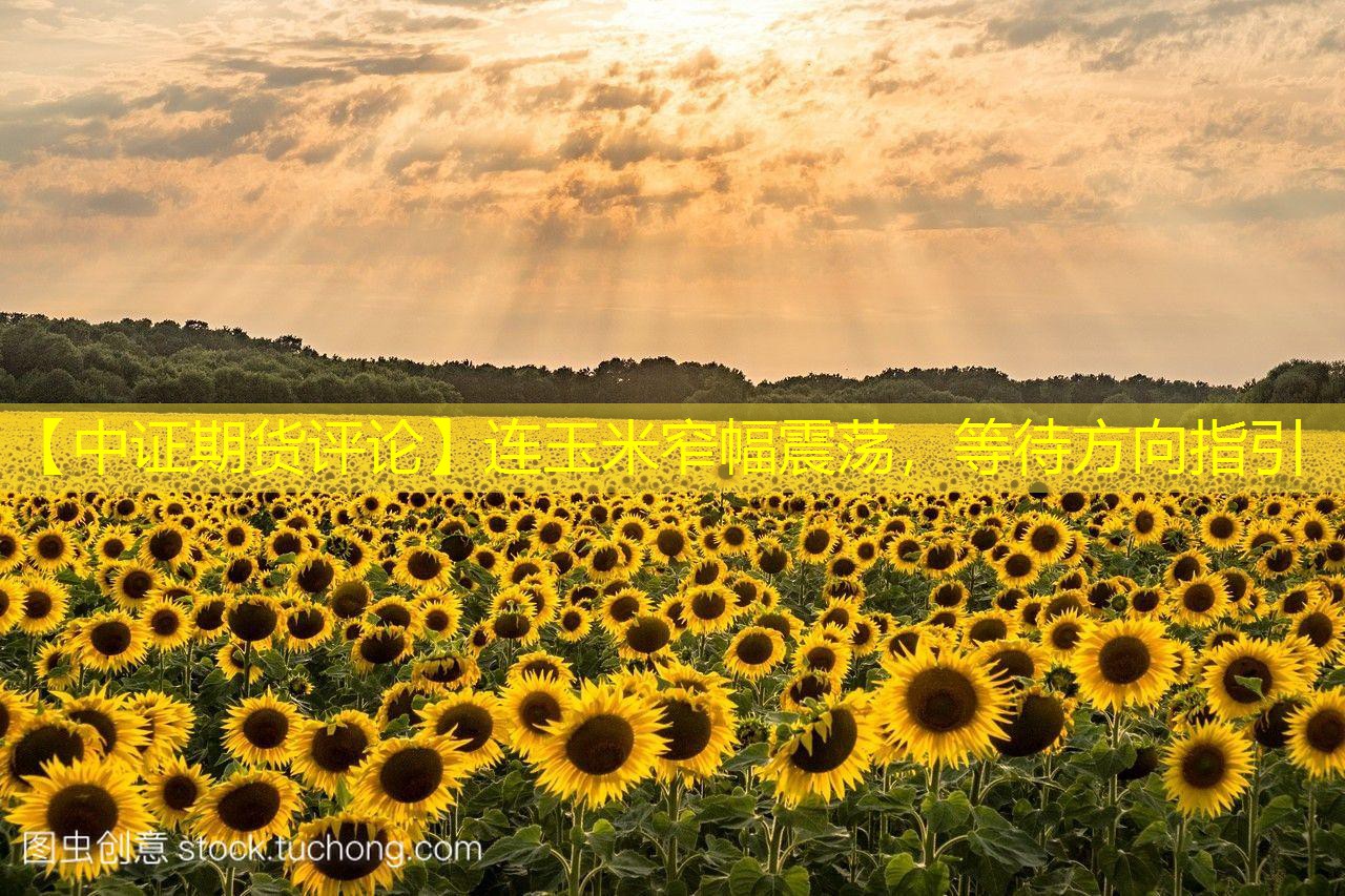 【中证期货评论】连玉米窄幅震荡，等待方向指引