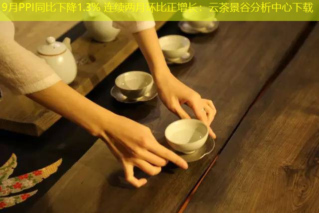 9月PPI同比下降1.3% 连续两月环比正增长