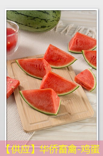 【供应】华侨畜禽-鸡蛋