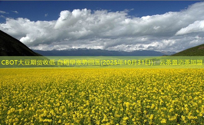 CBOT大豆期货收低 自稍早涨势回落(2025年10月31日)：云茶景迈茶加盟