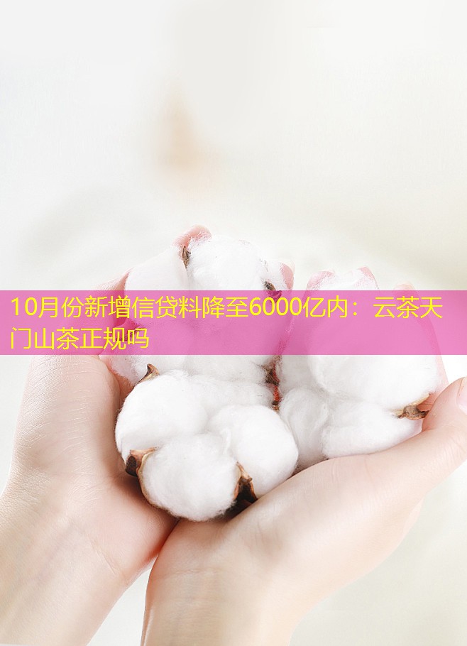 10月份新增信贷料降至6000亿内