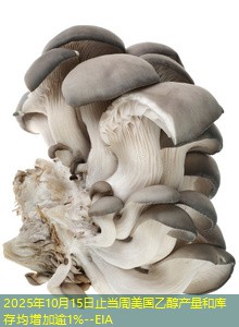 2025年10月15日止当周美国乙醇产量和库存均增加逾1%--EIA