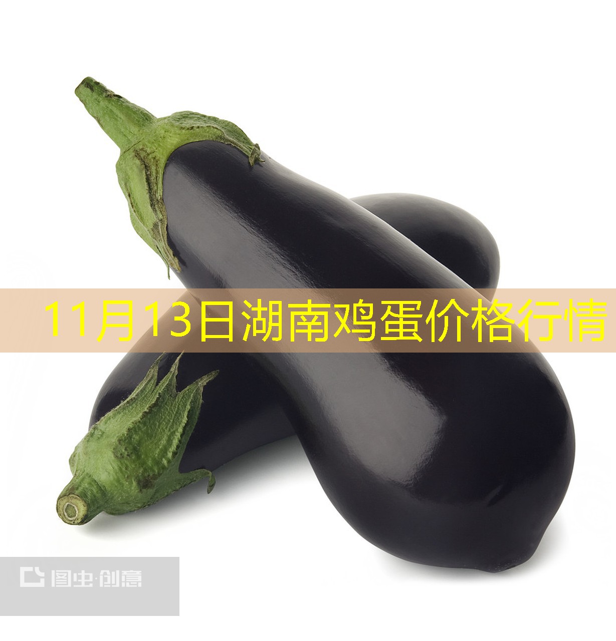 11月13日湖南鸡蛋价格行情