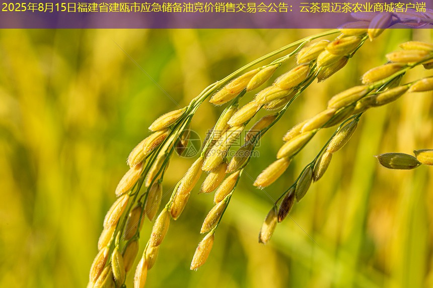 2025年8月15日福建省建瓯市应急储备油竞价销售交易会公告：云茶景迈茶农业商城客户端