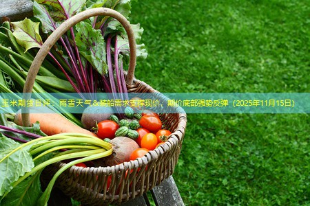 玉米期货日评：雨雪天气&装船需求支撑现价，期价底部强势反弹（2025年11月15日）