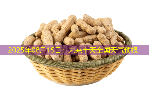 2025年08月15日：未来十天全国天气预报