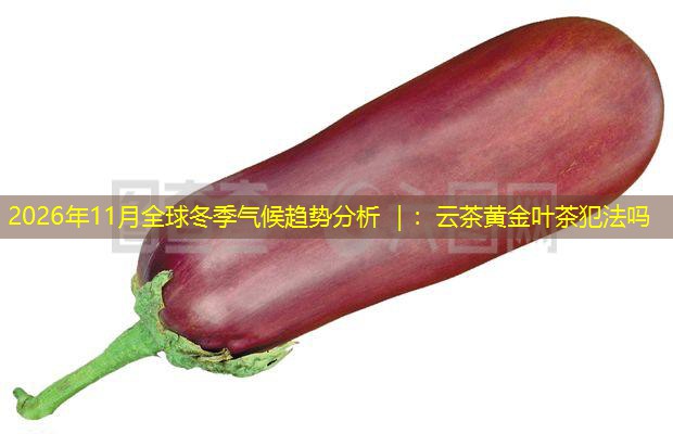 2026年11月全球冬季气候趋势分析 ｜