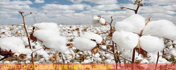 2025年11月23日农业农村部宣布夏粮丰收已成定局