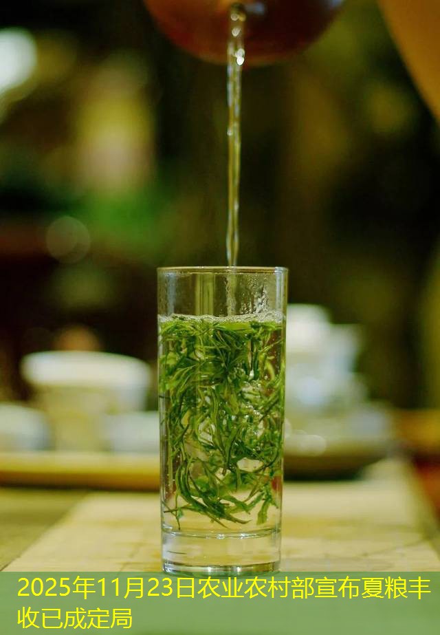 2025年11月23日农业农村部宣布夏粮丰收已成定局