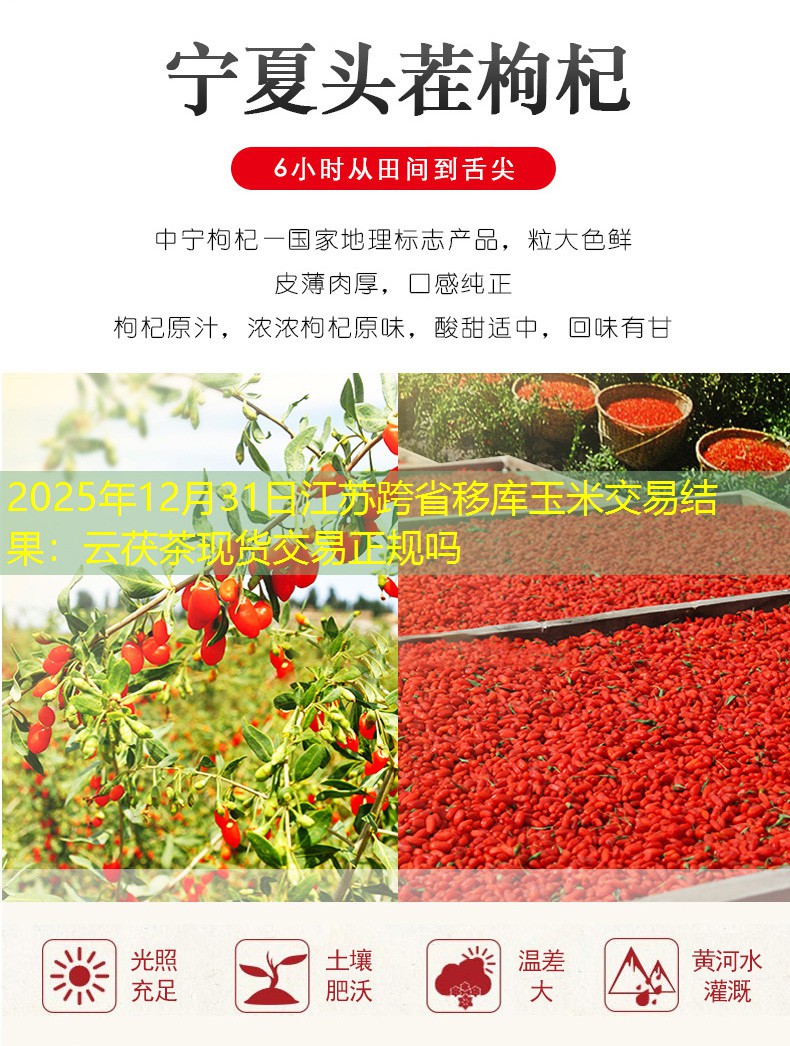2025年12月31日江苏跨省移库玉米交易结果：云茯茶现货交易正规吗