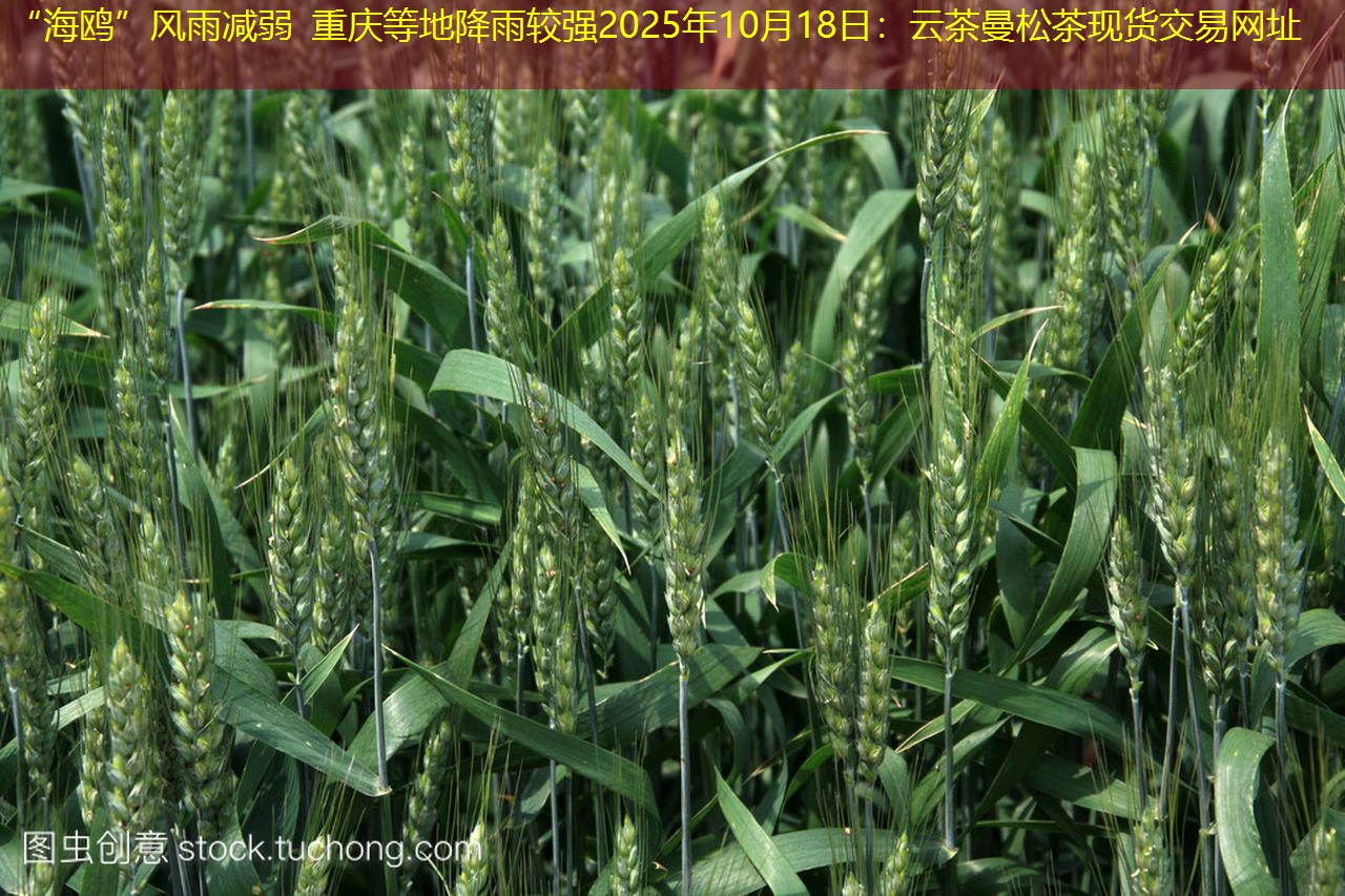 “海鸥”风雨减弱 重庆等地降雨较强2025年10月18日