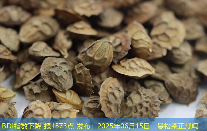 BDI指数下降 报1573点 发布：2025年06月15日：曼松茶正规吗