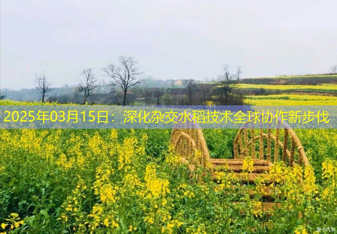 2025年03月15日：深化杂交水稻技术全球协作新步伐