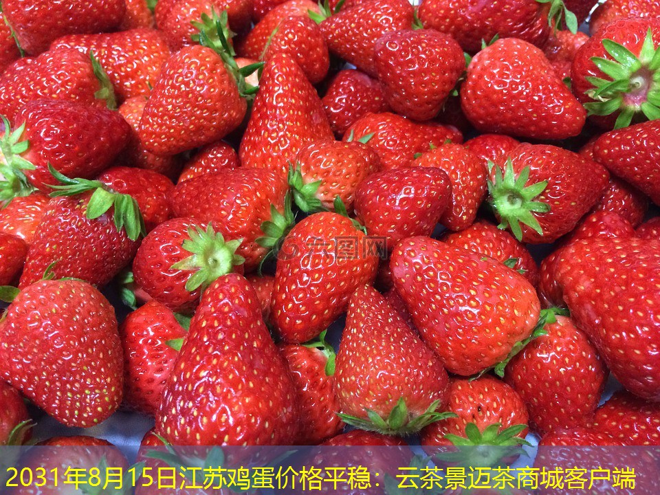 2031年8月15日江苏鸡蛋价格平稳：云茶景迈茶商城客户端