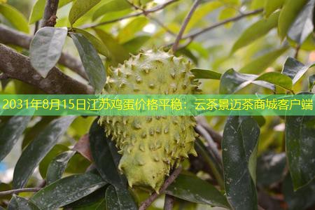 2031年8月15日江苏鸡蛋价格平稳