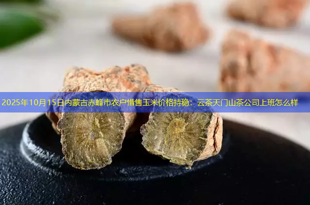 2025年10月15日内蒙古赤峰市农户惜售玉米价格持稳