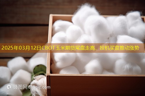 2025年03月12日CBOT玉米期货尾盘走高，投机买盘推动涨势