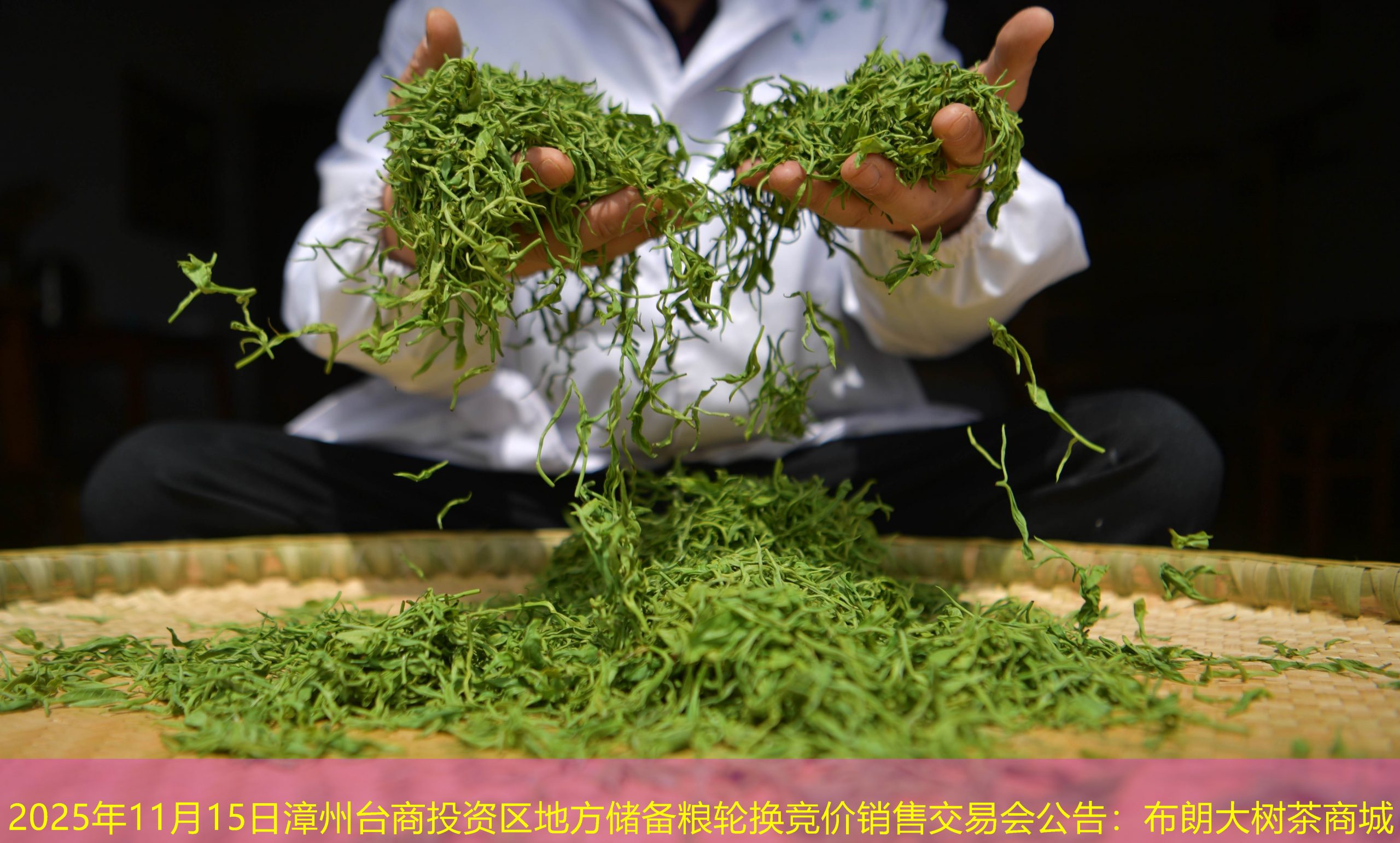 2025年11月15日漳州台商投资区地方储备粮轮换竞价销售交易会公告