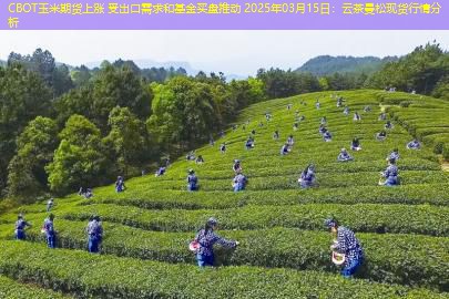 CBOT玉米期货上涨 受出口需求和基金买盘推动 2025年03月15日