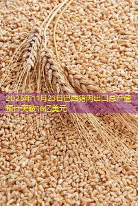 2025年11月23日巴西猪肉出口总产值预计突破16亿美元