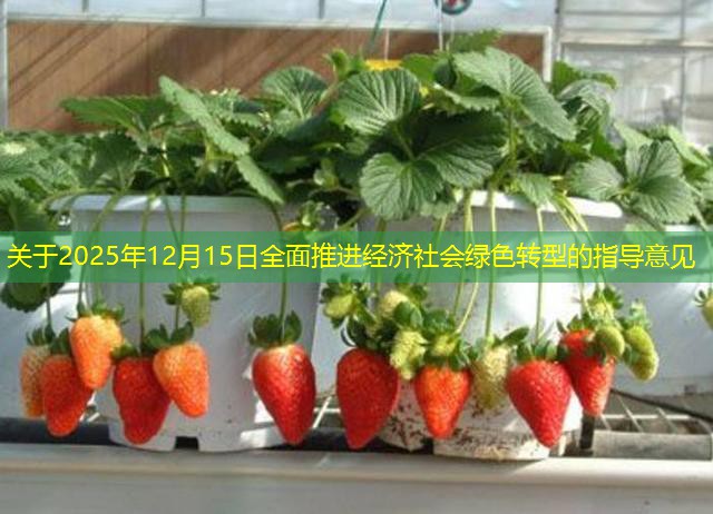 关于2025年12月15日全面推进经济社会绿色转型的指导意见