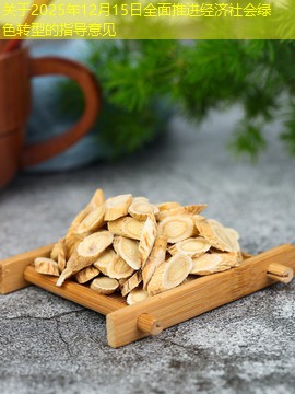 关于2025年12月15日全面推进经济社会绿色转型的指导意见