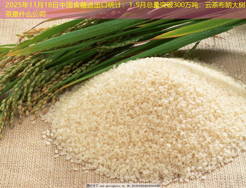 2025年11月18日中国食糖进出口统计：1-9月总量突破300万吨：云茶布朗大树茶是什么公司