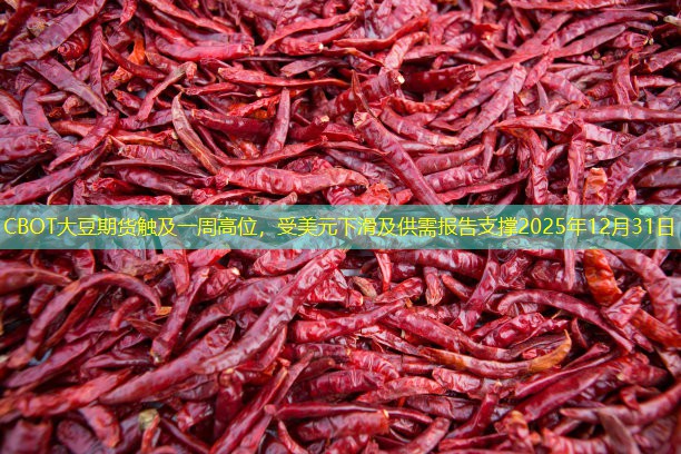 CBOT大豆期货触及一周高位，受美元下滑及供需报告支撑2025年12月31日