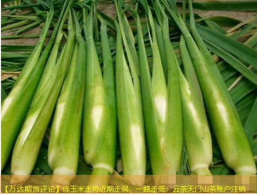 【万达期货评论】连玉米走势近期走弱，一路走低