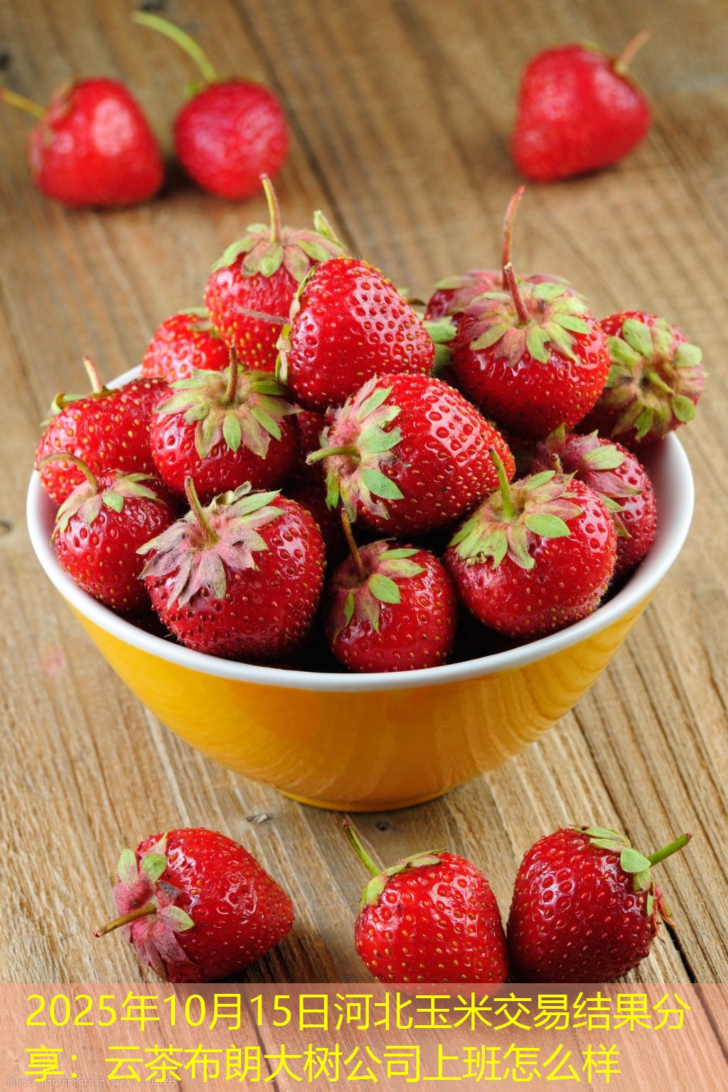 2025年10月15日河北玉米交易结果分享：云茶布朗大树公司上班怎么样