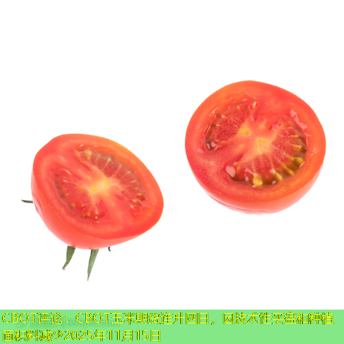 CBOT评论：CBOT玉米期货连升四日，因技术性买盘和种植面积料减少2025年11月15日