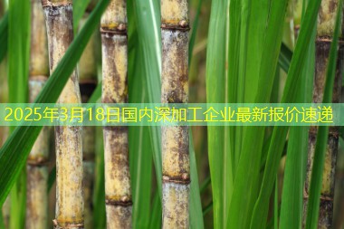 2025年3月18日国内深加工企业最新报价速递