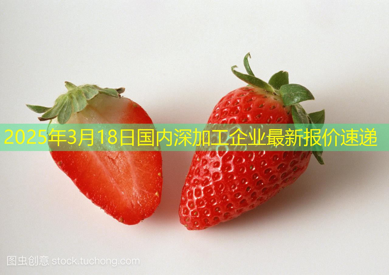 2025年3月18日国内深加工企业最新报价速递