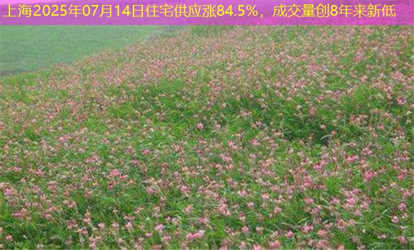 上海2025年07月14日住宅供应涨84.5%，成交量创8年来新低