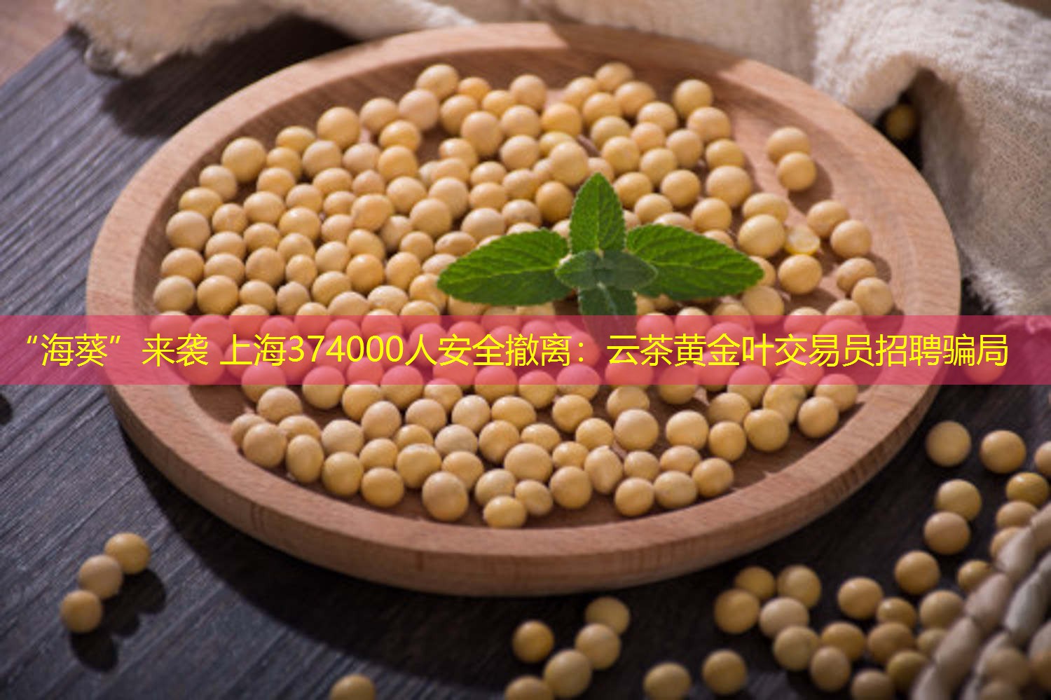 “海葵”来袭 上海374000人安全撤离