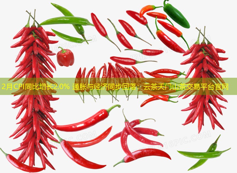 2月CPI同比增长2.0% 通胀与经济同步回落