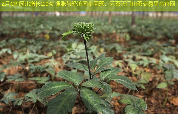 2月CPI同比增长2.0% 通胀与经济同步回落