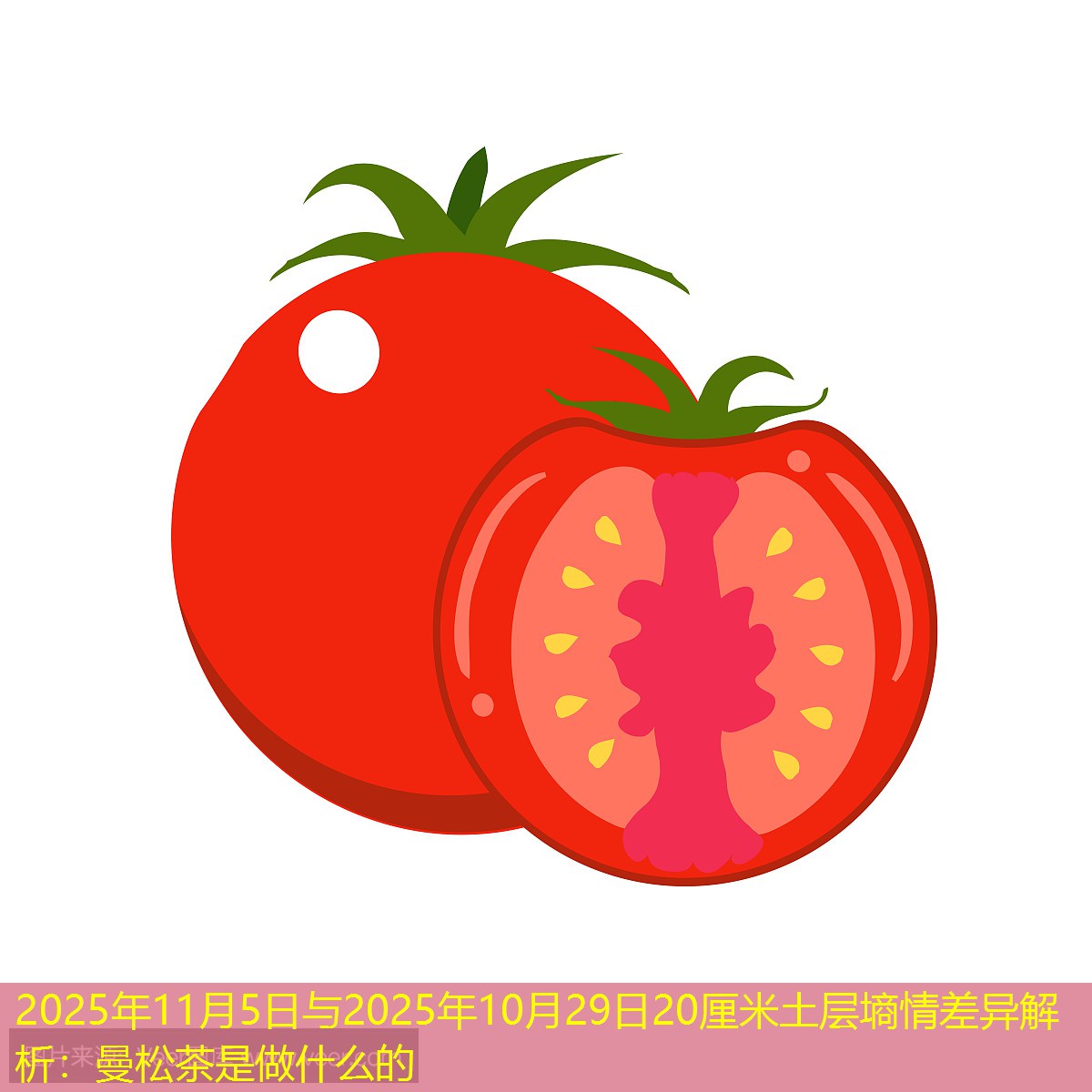 2025年11月5日与2025年10月29日20厘米土层墒情差异解析