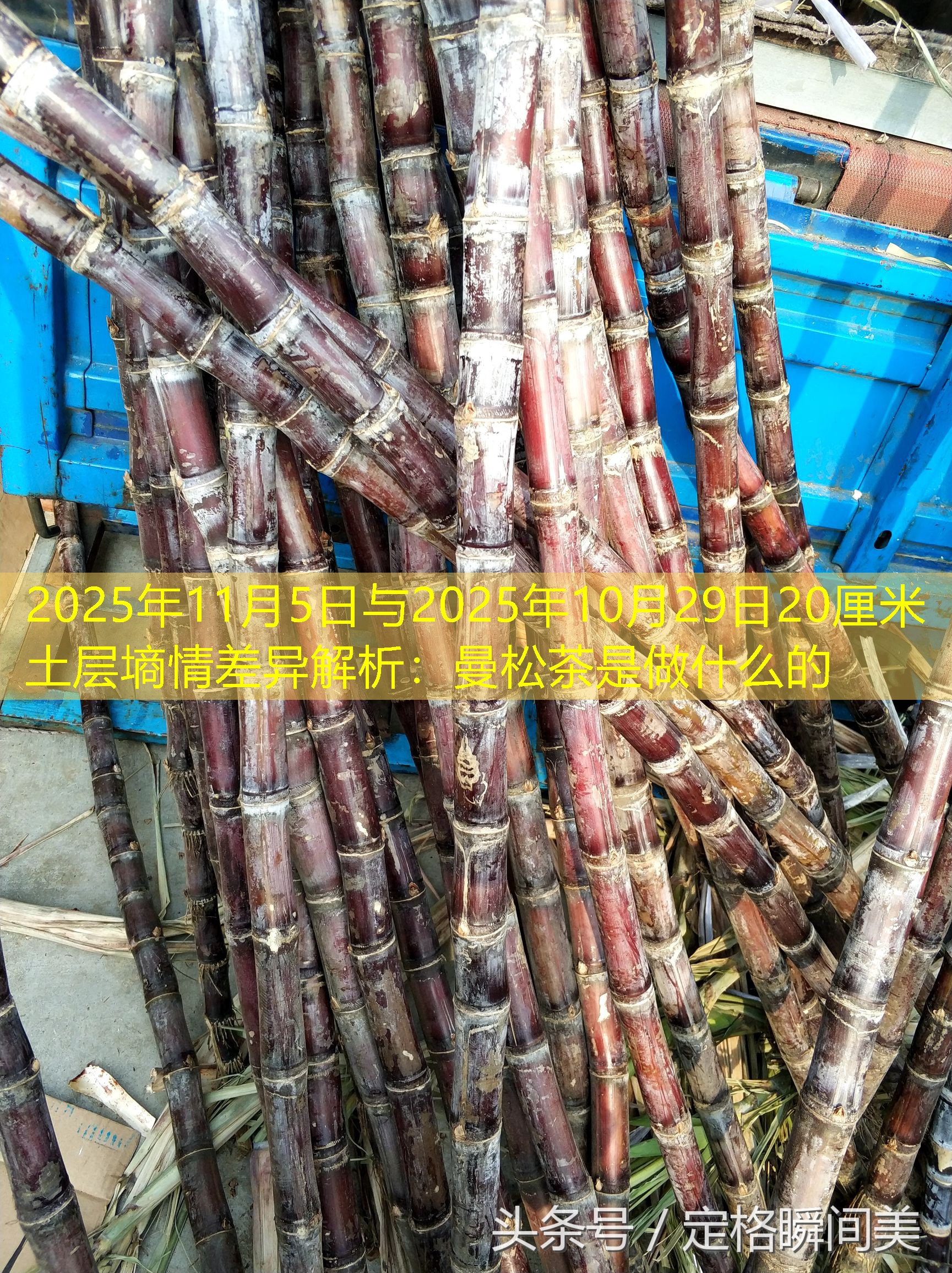 2025年11月5日与2025年10月29日20厘米土层墒情差异解析