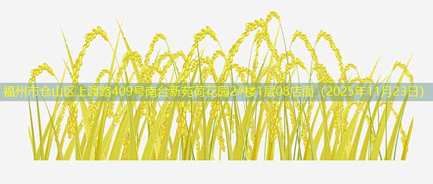 福州市仓山区上渡路409号南台新苑荷花园2#楼1层08店面（2025年11月23日）